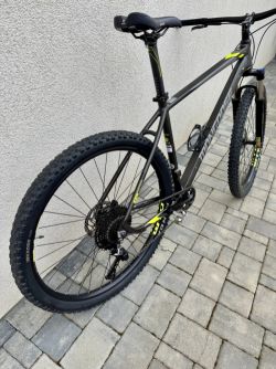 Mongoose Tyax Expert