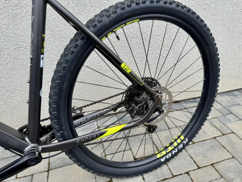 Mongoose Tyax Expert