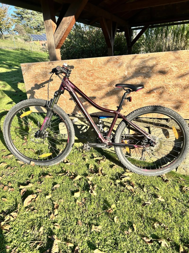 Scott Contessa 730-S