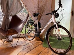 Leader Fox DOMESTA 2018