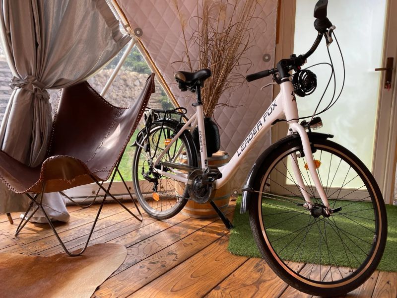 Leader Fox DOMESTA 2018