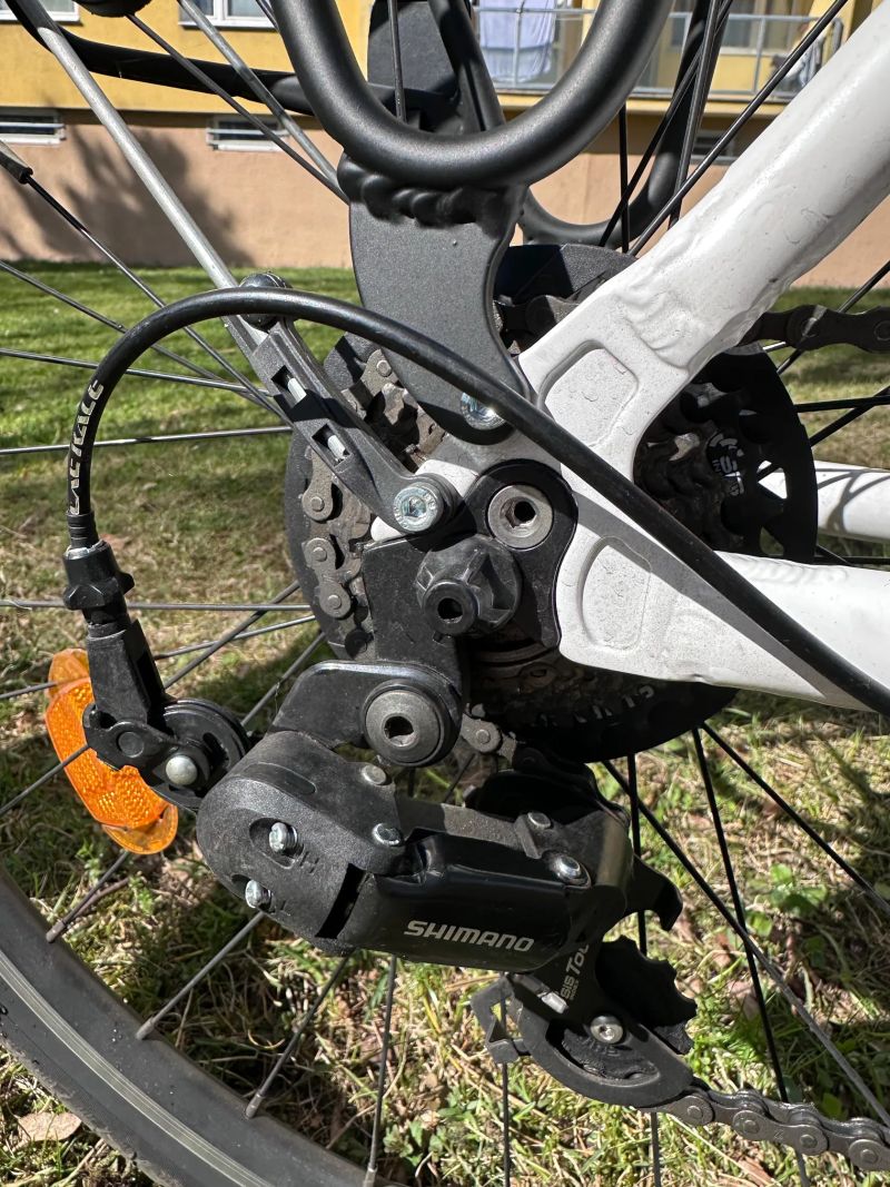 Leader Fox DOMESTA 2018