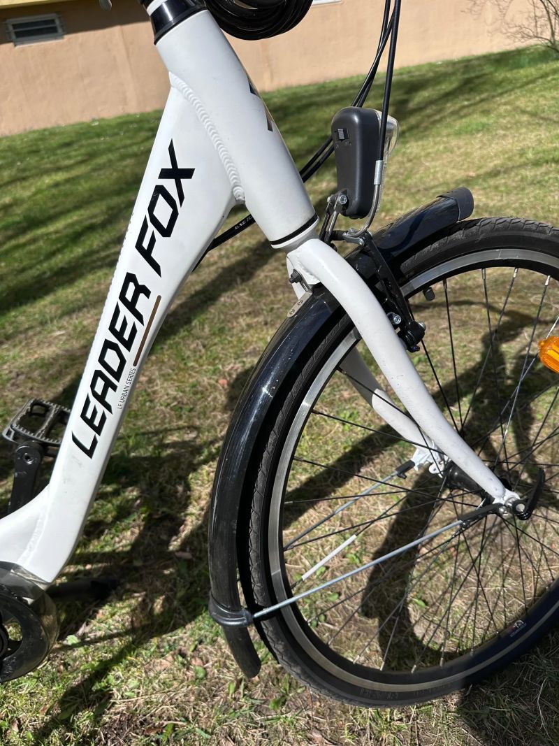 Leader Fox DOMESTA 2018