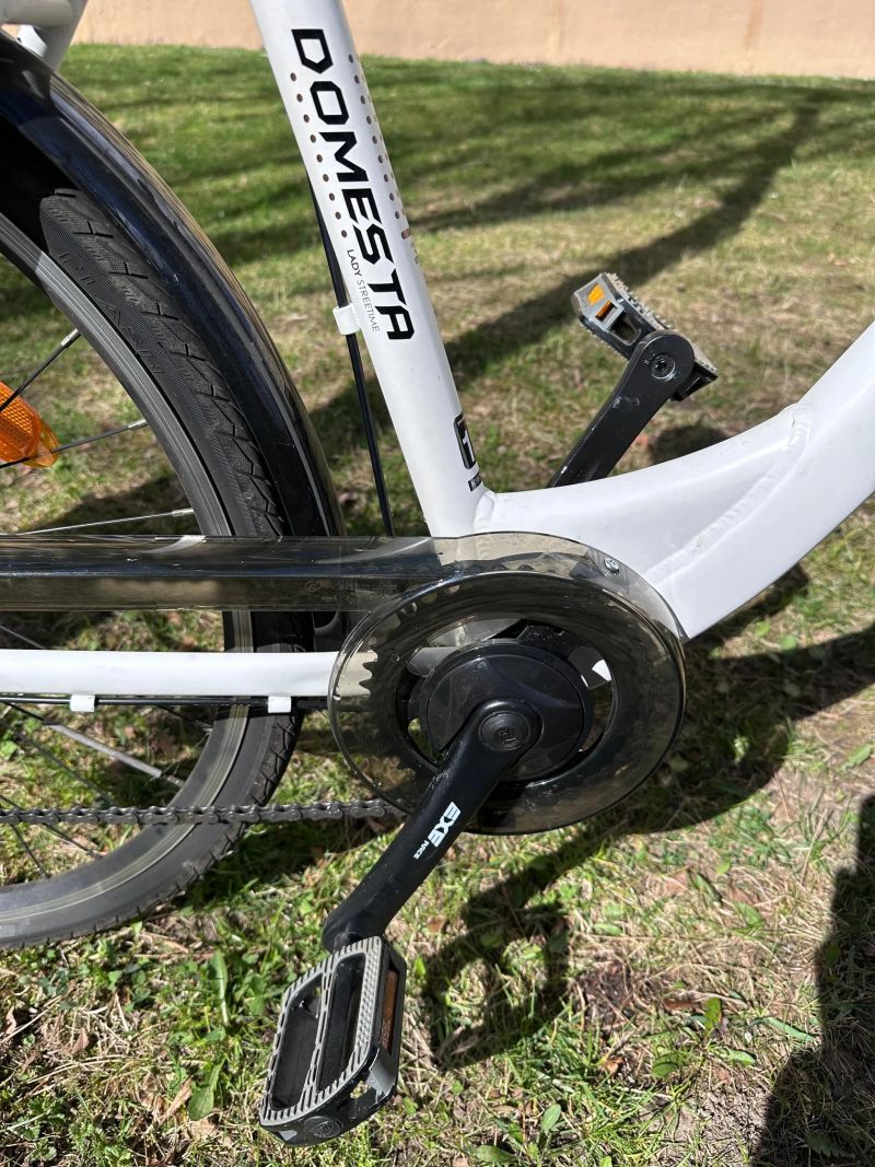 Leader Fox DOMESTA 2018