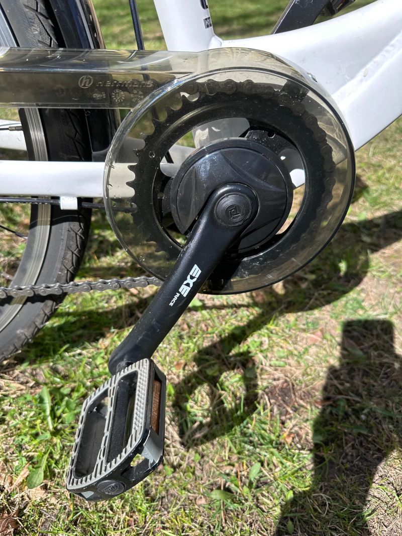 Leader Fox DOMESTA 2018