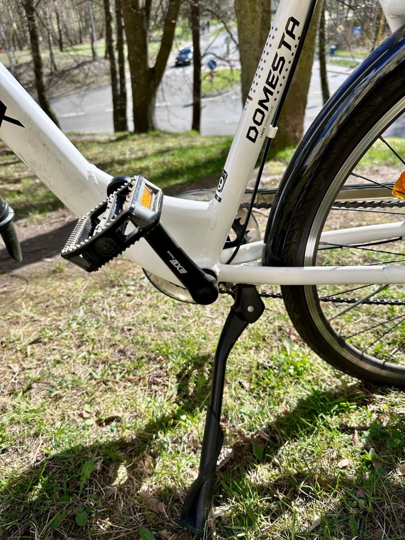 Leader Fox DOMESTA 2018