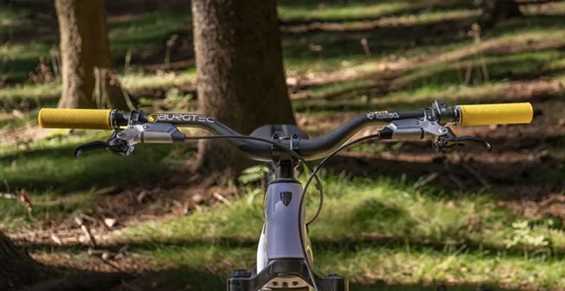 Rail+ 9.9 XX AXS T-Type Gen 5 Lavender Haze