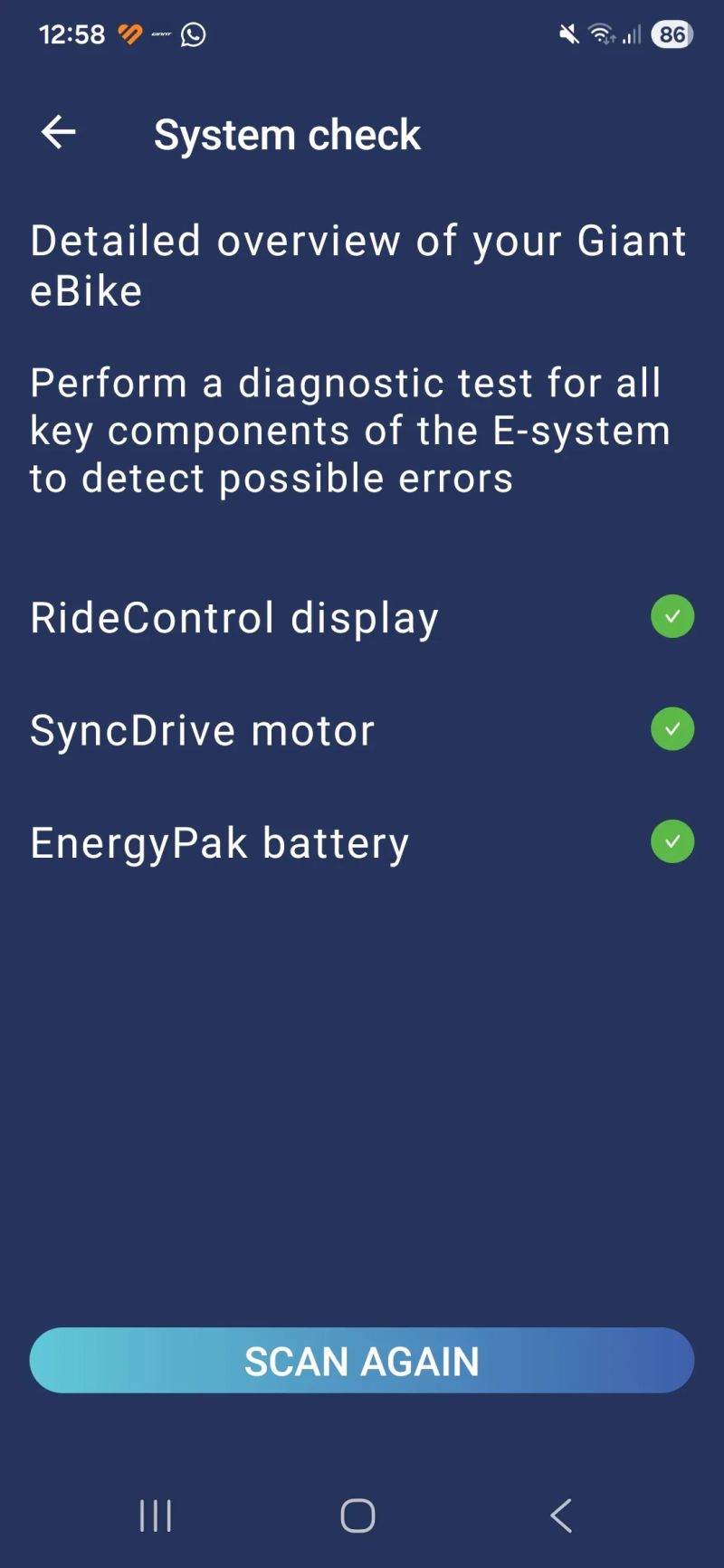 Giant Talone E+1 er29