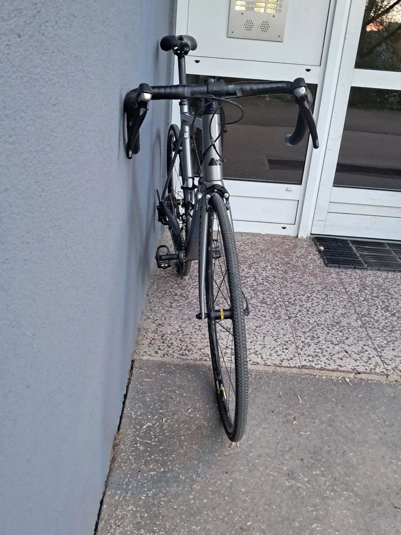 Canyon Endurace CF F10