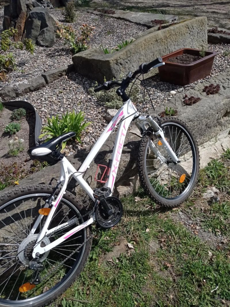 Dámské kolo X-FACT 