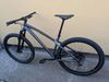 trail bike Dartmoor Primal 29 L