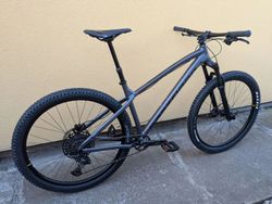 trail bike Dartmoor Primal 29 L
