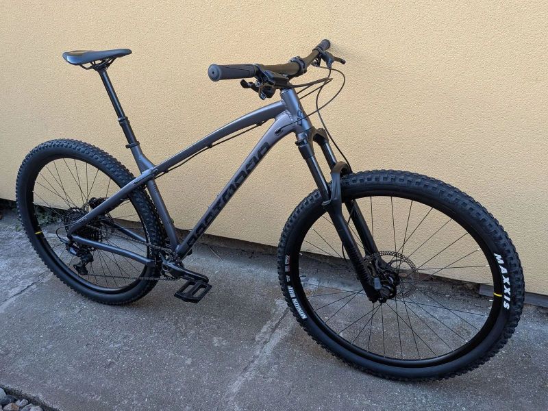 trail bike Dartmoor Primal 29 L