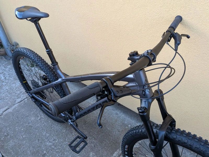 trail bike Dartmoor Primal 29 L