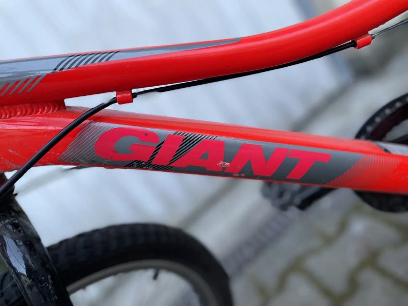 Giant 20"