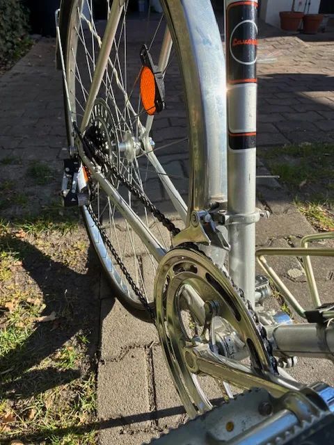 Favorit Favorit Tourist