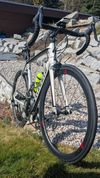 Silniční kolo Specialized Tarmac vel. 56 – karbon,Ultegra, karbonová plášťová kola Equator 45mm, 