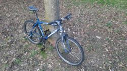 MTB/krosové kolo Dema Passo