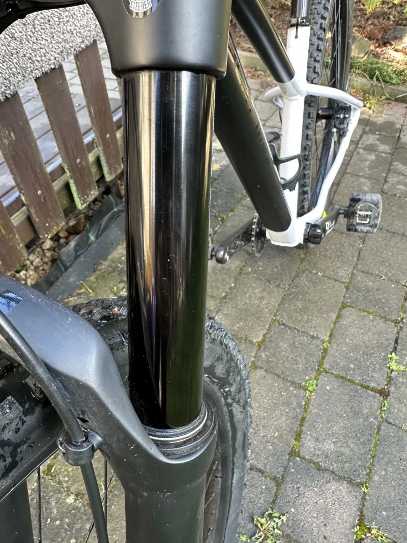 Rocky Mountain Growler