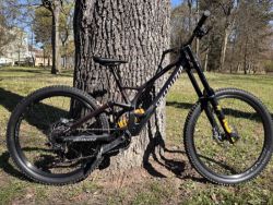 Specialized Demo Race