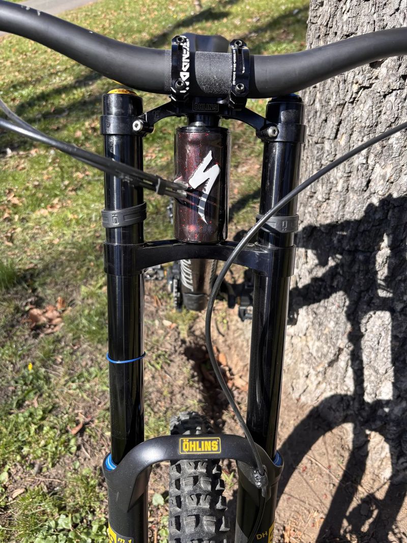 Specialized Demo Race