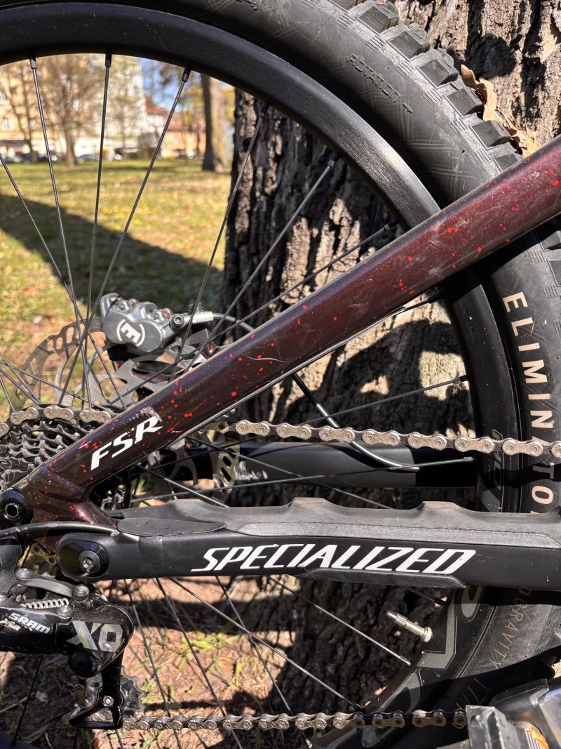 Specialized Demo Race