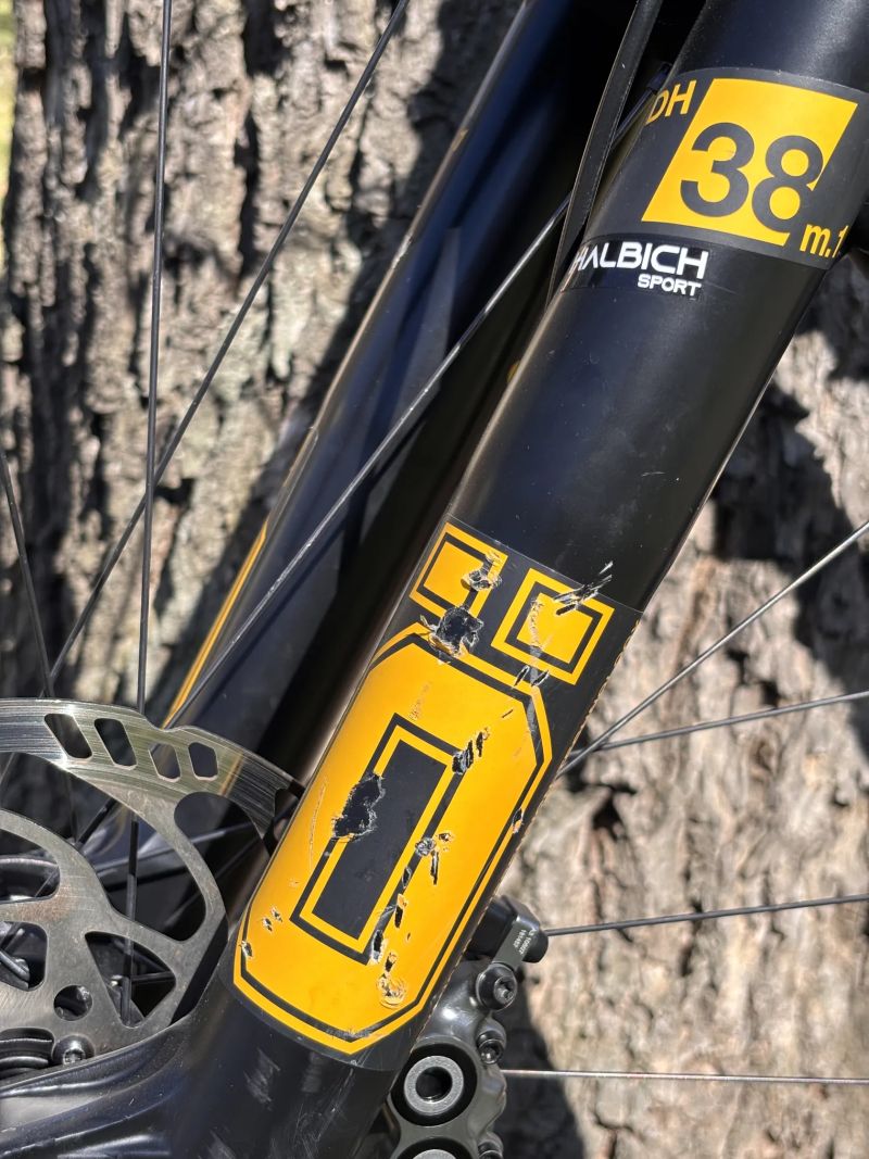 Specialized Demo Race