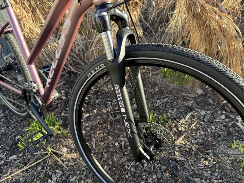 Kellys Pheebe 70 Rosy Violet