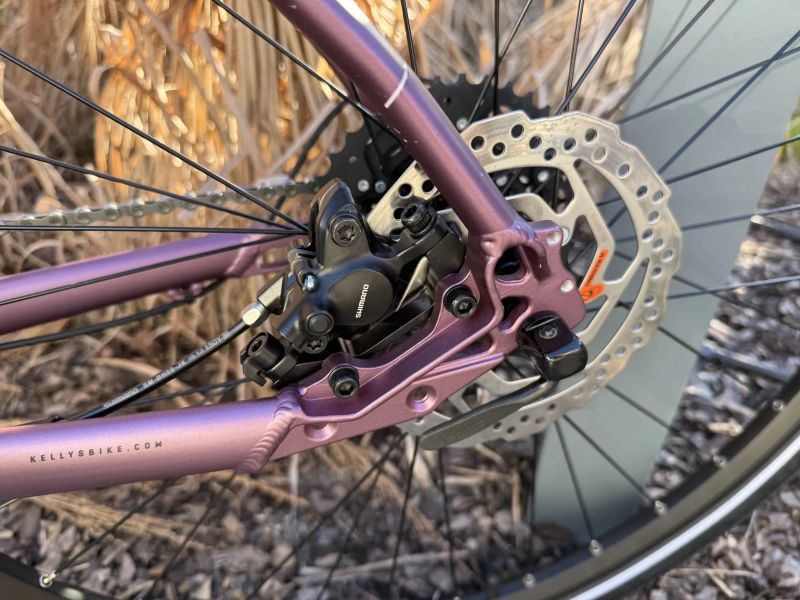 Kellys Pheebe 70 Rosy Violet