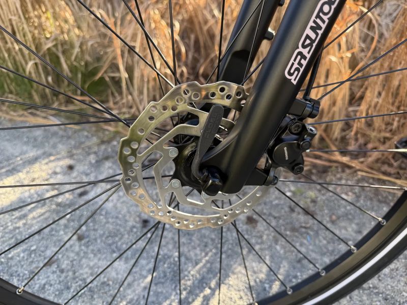 Kellys Pheebe 70 Rosy Violet