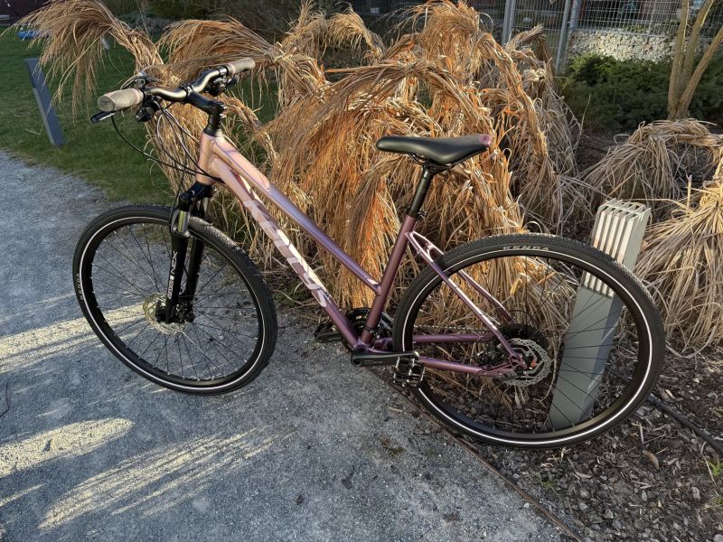 Kellys Pheebe 70 Rosy Violet