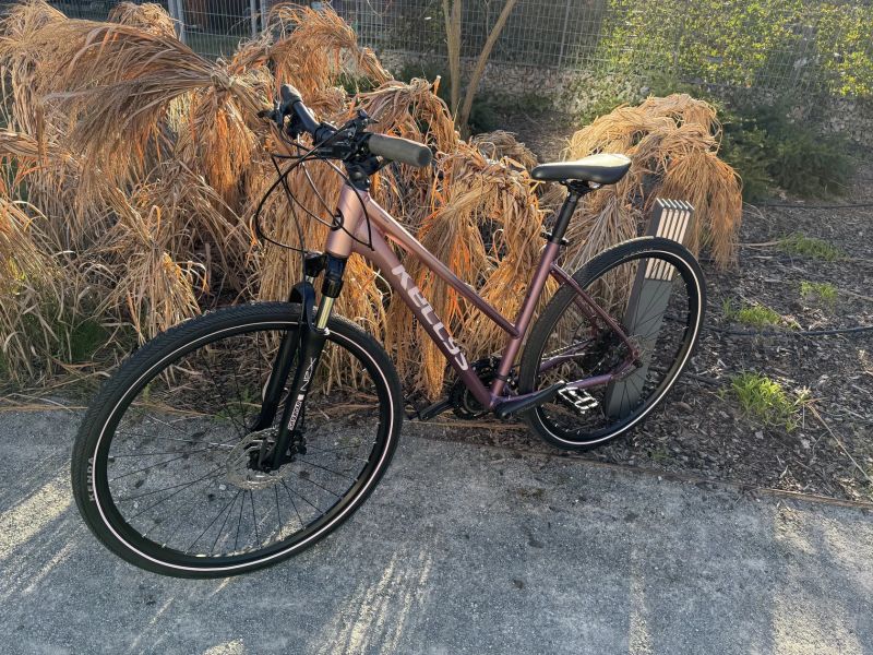 Kellys Pheebe 70 Rosy Violet