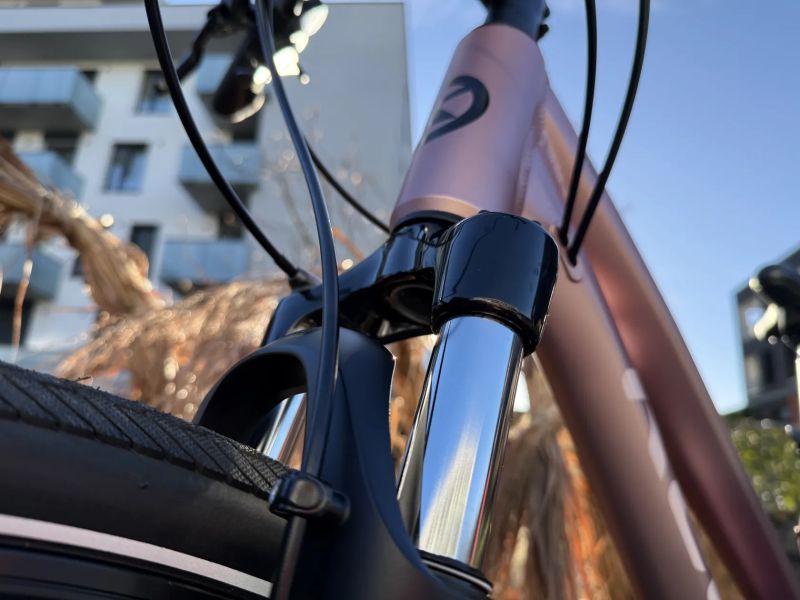 Kellys Pheebe 70 Rosy Violet