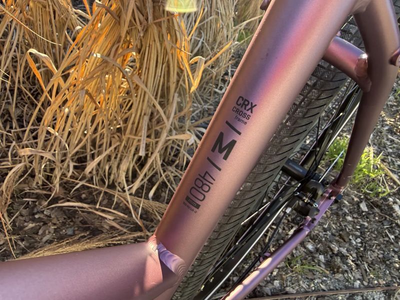 Kellys Pheebe 70 Rosy Violet