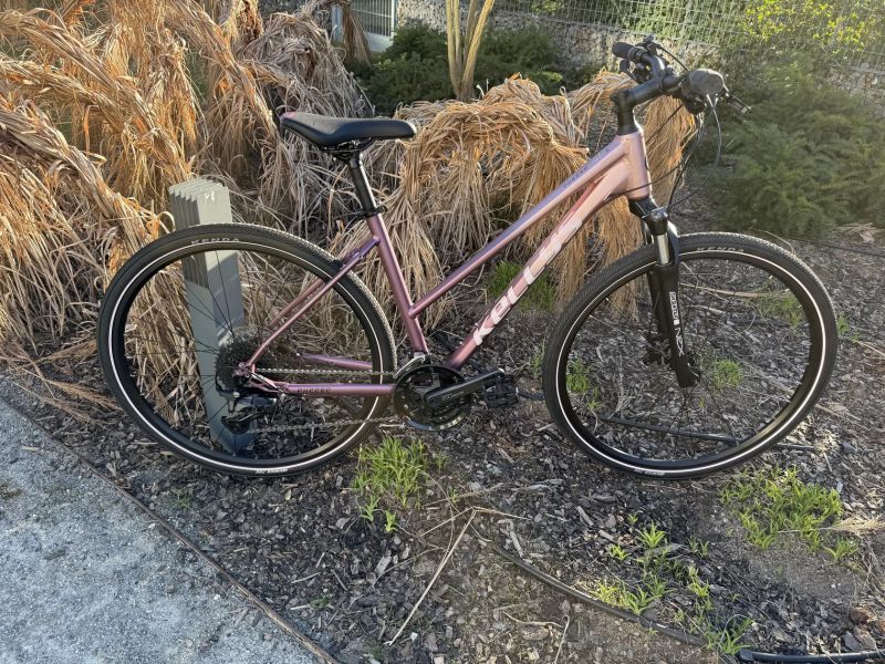 Kellys Pheebe 70 Rosy Violet