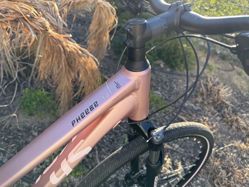 Kellys Pheebe 70 Rosy Violet