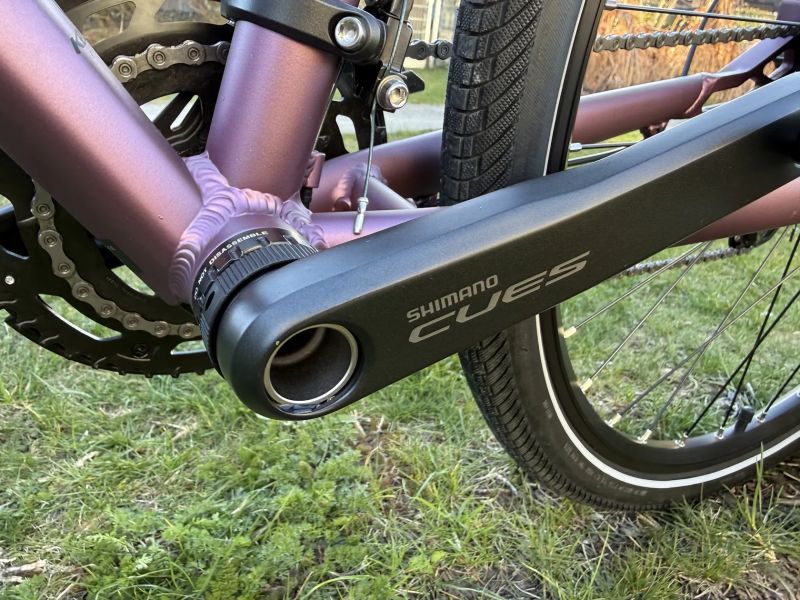 Kellys Pheebe 70 Rosy Violet