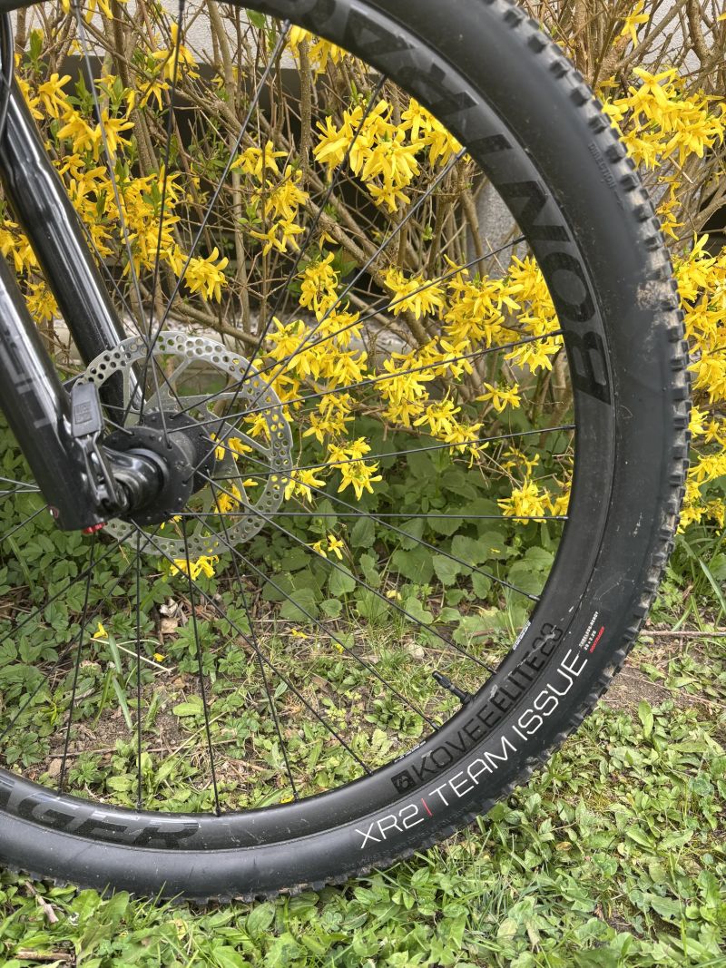 HORSKÉ KOLO TREK PROCALIBER 9.7 VELIKOST L