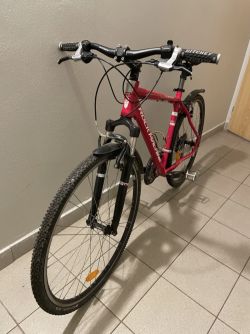 Rock Machine Crossride