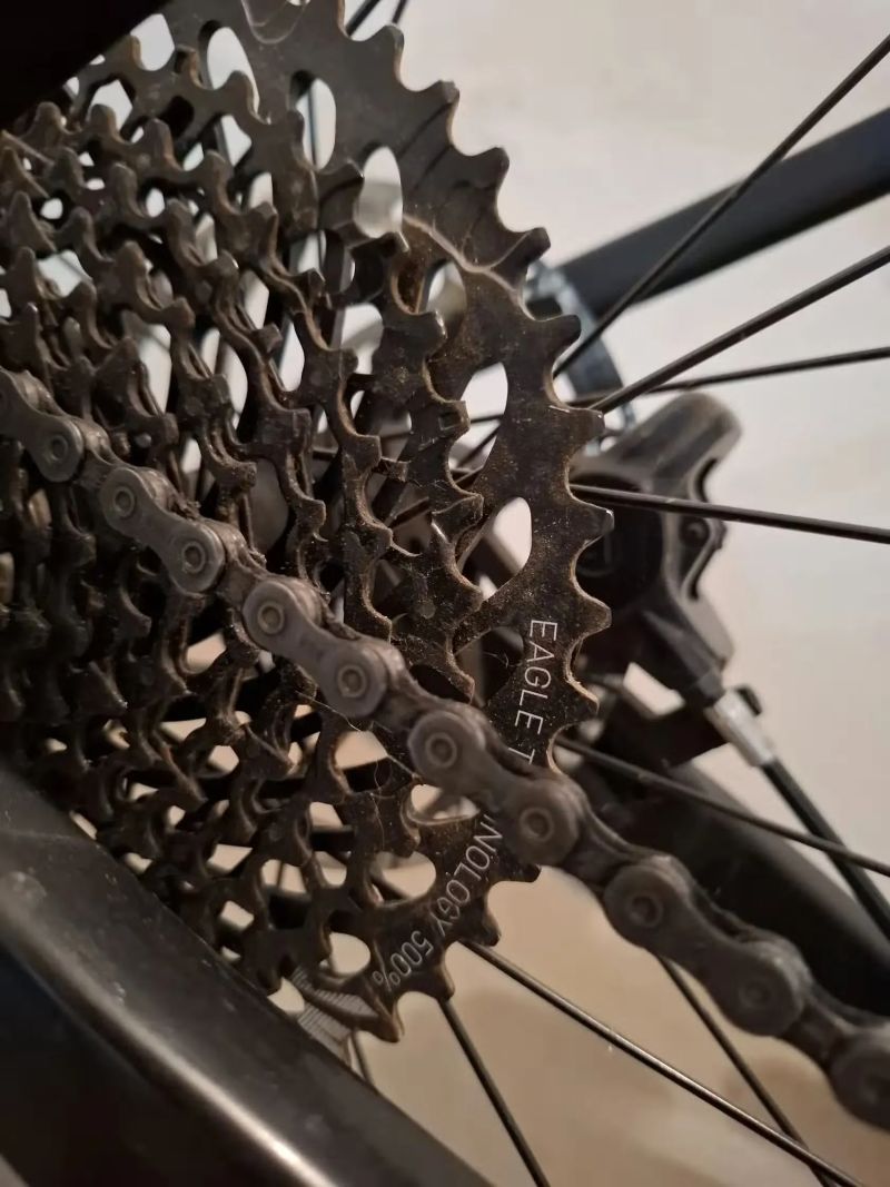 Cube Cube Reaction TM Race