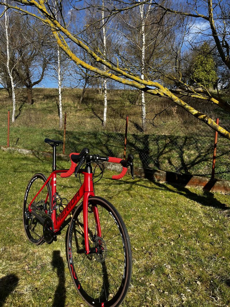 Merida Scultura Disc 5000 2020