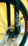 Specialized Stumpjumper 29"
