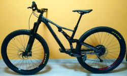 Specialized Stumpjumper 29"