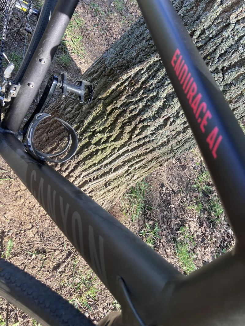 Canyon Endurace AL