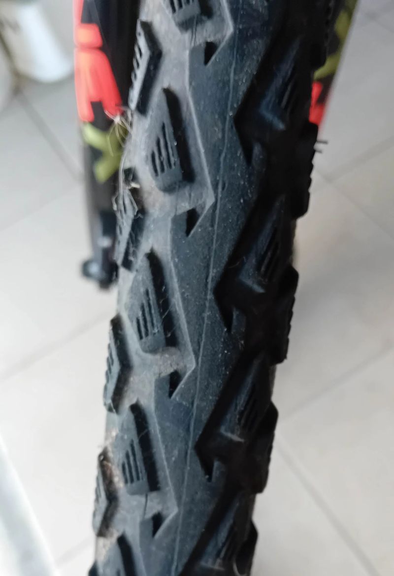 Crussis E-Savela 7.6