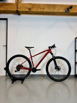 Horské kolo Kross Level 1.0 - červená L