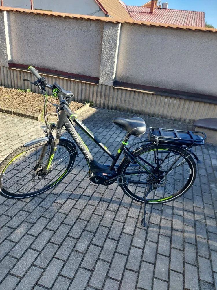 Leader Fox Hasuda lady