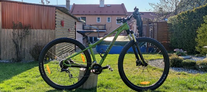 Merida BIG.NINE 20 Fall Green