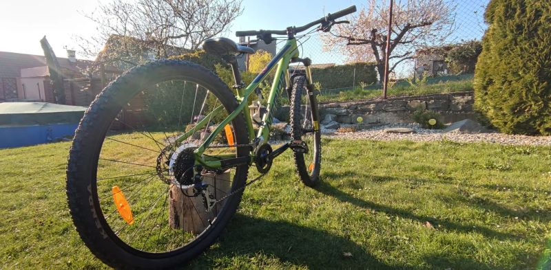 Merida BIG.NINE 20 Fall Green