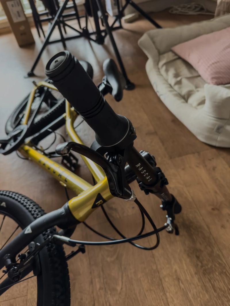 Dětské kolo Rascal 20